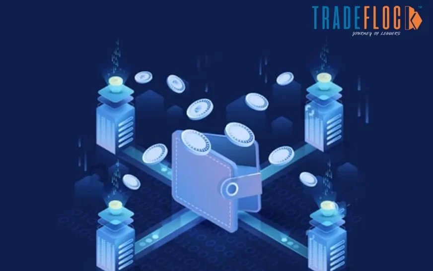 Exploring 3 Types Of Crypto Wallets And How They Work