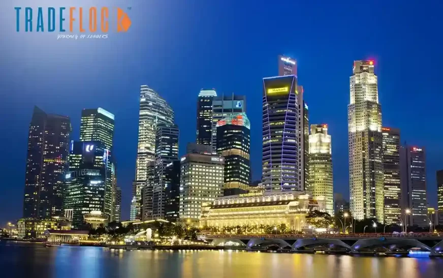 Collective Investment Schemes In Singapore: Explained!