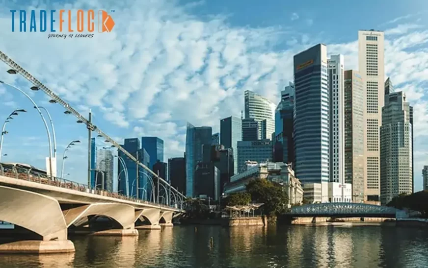 Is Asia the New Silicon Valley of Fintech? Find Out!