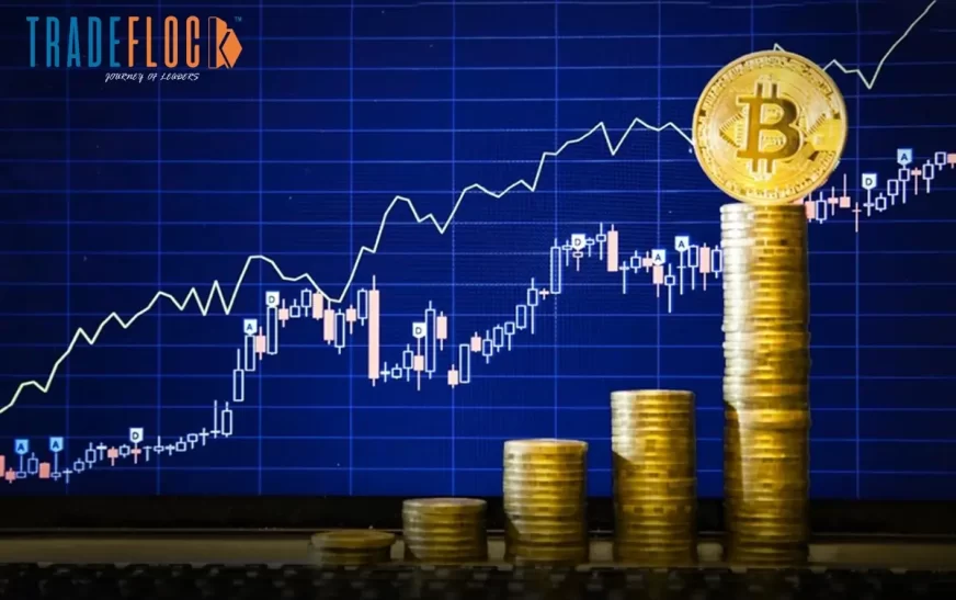 Anatomy of Crypto – How Does Cryptocurrency Work?
