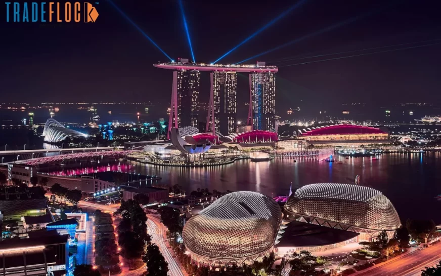 The Secret Behind Singapore's Rise as Tech Startup Capital