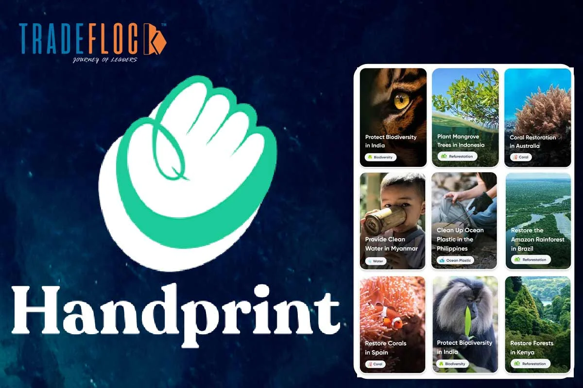 Empowering Change: Handprint’s Sustainable Business Model
