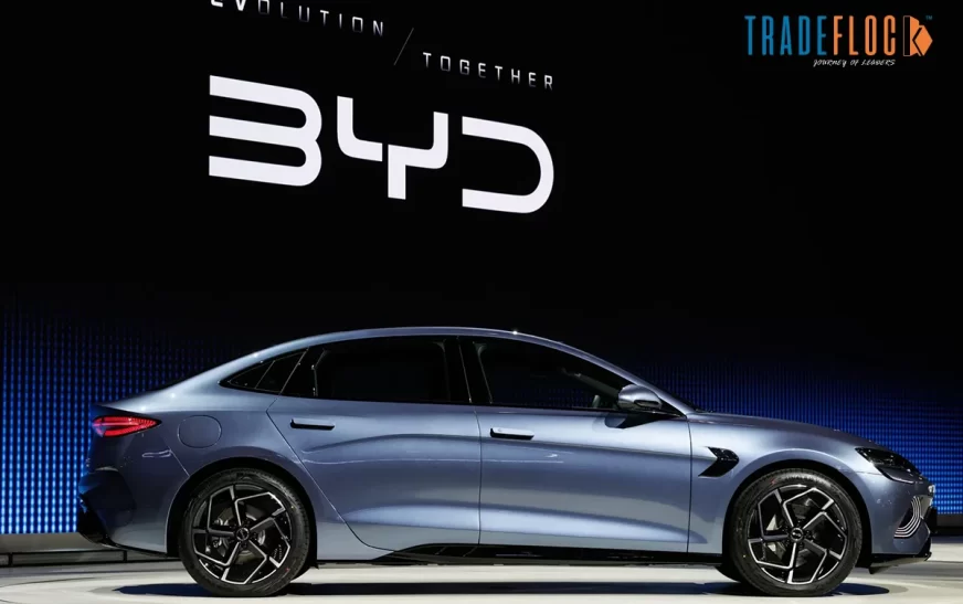 BYD Gears Up for Korean Market with 30 Sales Outlets