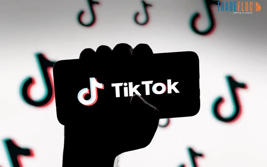Indonesia Grants TikTok License Renewal After Protests