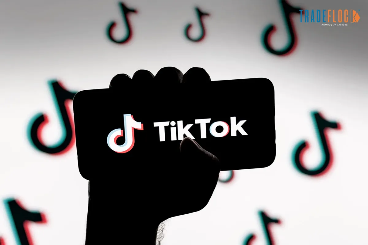 Indonesia Grants TikTok License Renewal After Protests