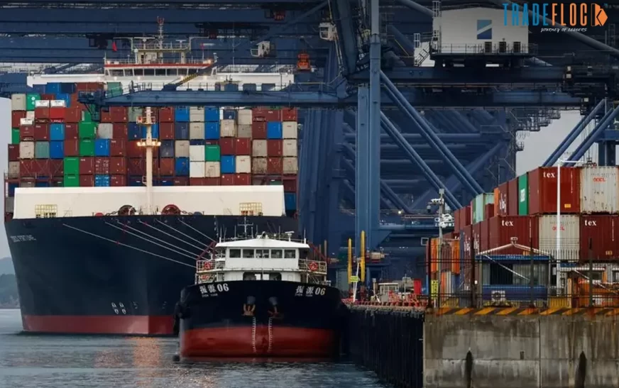 China Export Decline Deepens as Tariff Pressures Mount