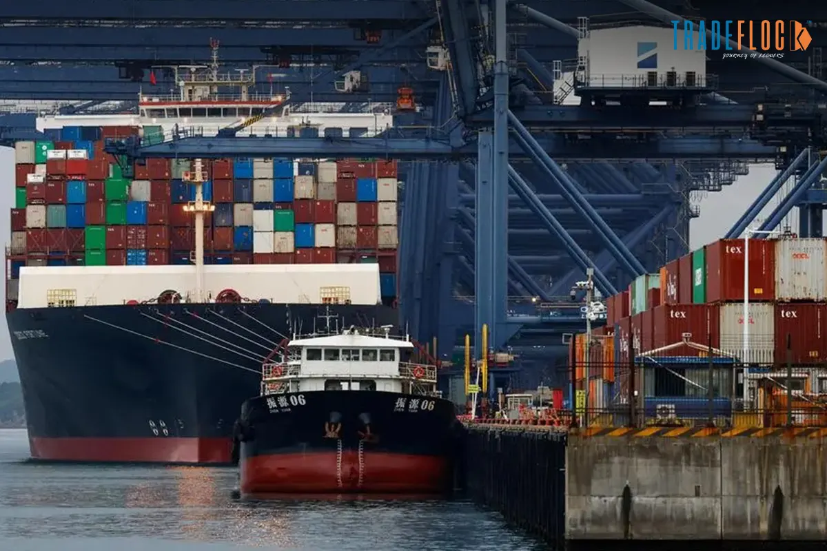 China Export Decline Deepens as Tariff Pressures Mount