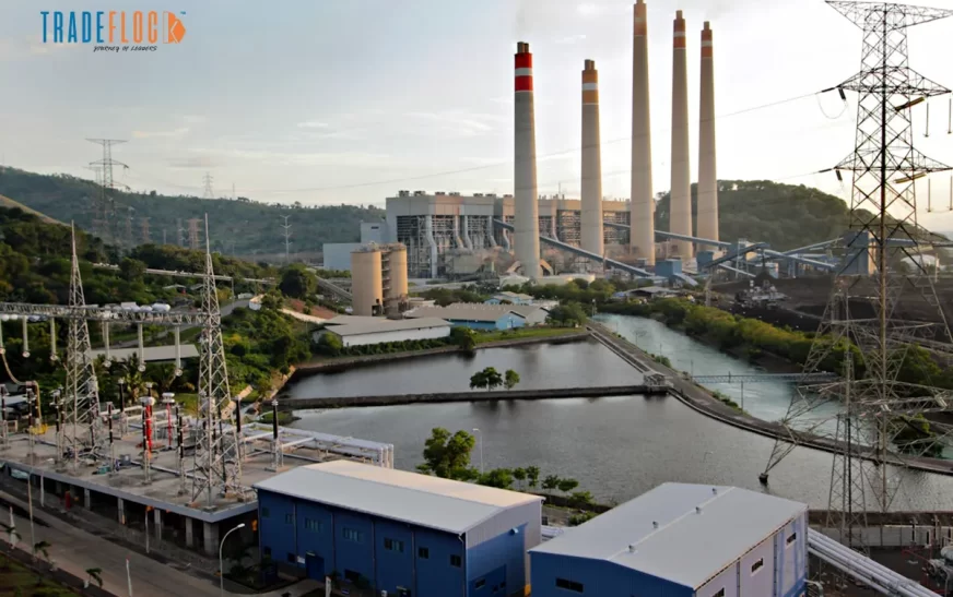 Indonesia’s Coal Phase-Out Plan Jeopardized by Funding Gap