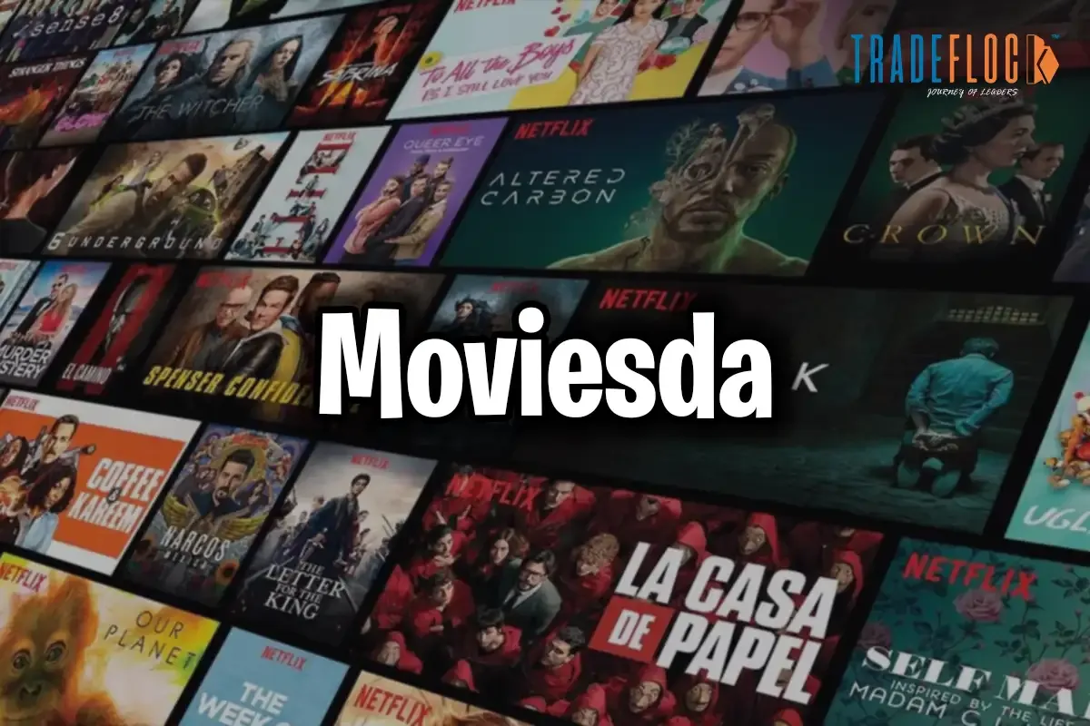 Moviesda: Explore the Range of Movies in One Place