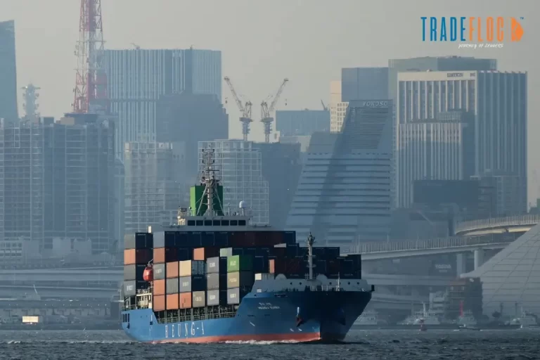 Japan's Export Surged Nearly 17 in January Reports Strong Shipments to the Asian Market