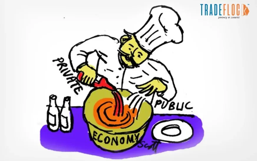 What is Mixed Economy? A Simple & Comprehensive Explainer