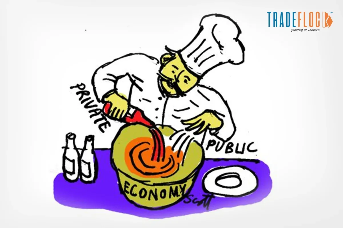 What is Mixed Economy? A Simple & Comprehensive Explainer