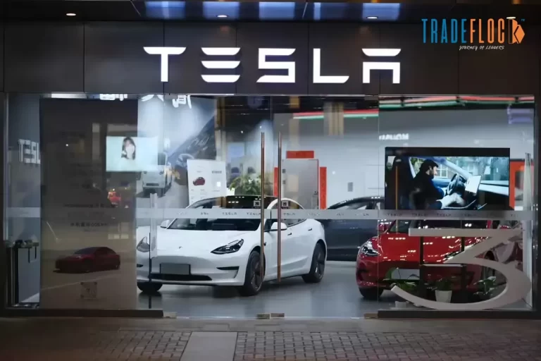 Tesla Records Strong Growth in China EV Sales During May