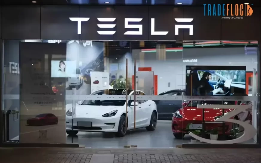 Tesla’s China-Made EVs Sales Surge in May