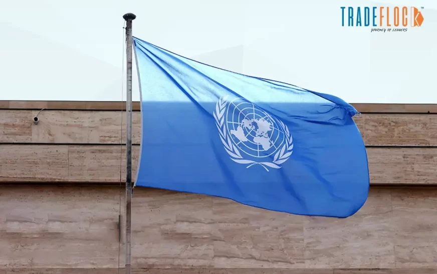 When Is UN Day Celebrated? History, and Global Impact