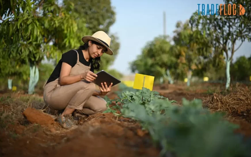 How Indigenous Knowledge Is Shaping the Future of Technology in Asia